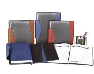 ביזניס יומי שבועי